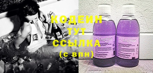 крисы Бородино