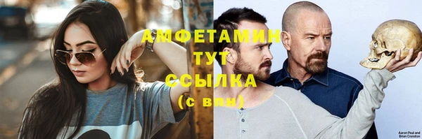 крисы Бородино