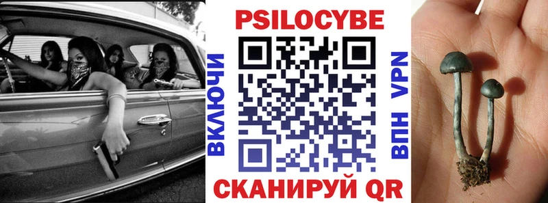 хочу   блэк спрут ТОР  Псилоцибиновые грибы Magic Shrooms  Константиновск 